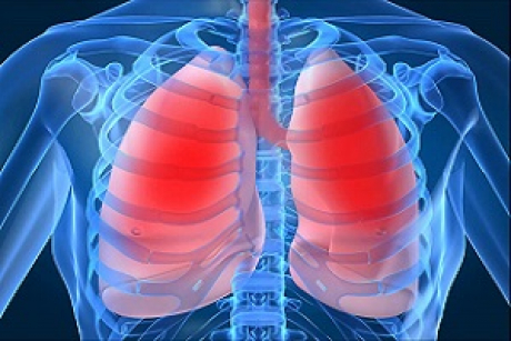 Respiratory module