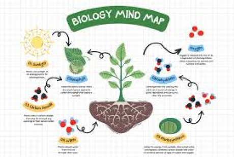 Biology 112 زبدة الزنقة ( مجانى )