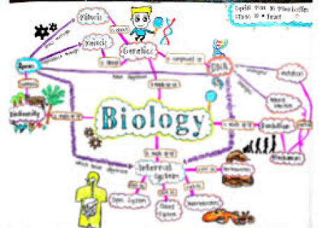 Biology 110 الشرح المختصر  ( مجانى )