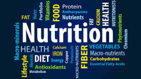 2024–Nutrition 2nd year