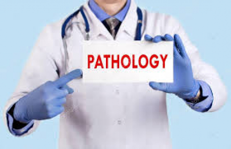 2024– Pathology 2nd year